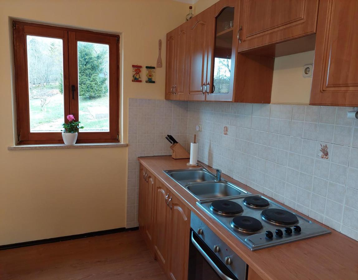 Holiday Home Cancarevic Равна-ґора Екстер'єр фото